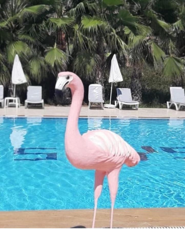 Skys Beach Hotel Manavgat Exterior foto
